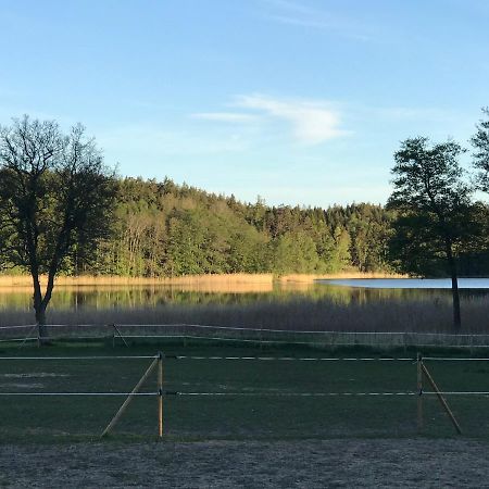 Nice Holiday House At Horse Farm With Lake And Sauna Holo  المظهر الخارجي الصورة