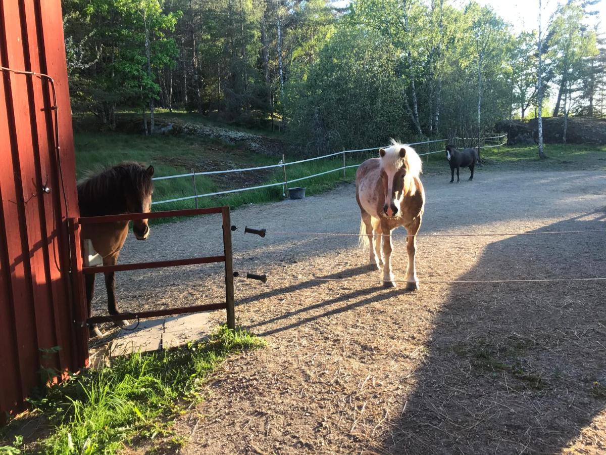 Nice Holiday House At Horse Farm With Lake And Sauna Holo  المظهر الخارجي الصورة